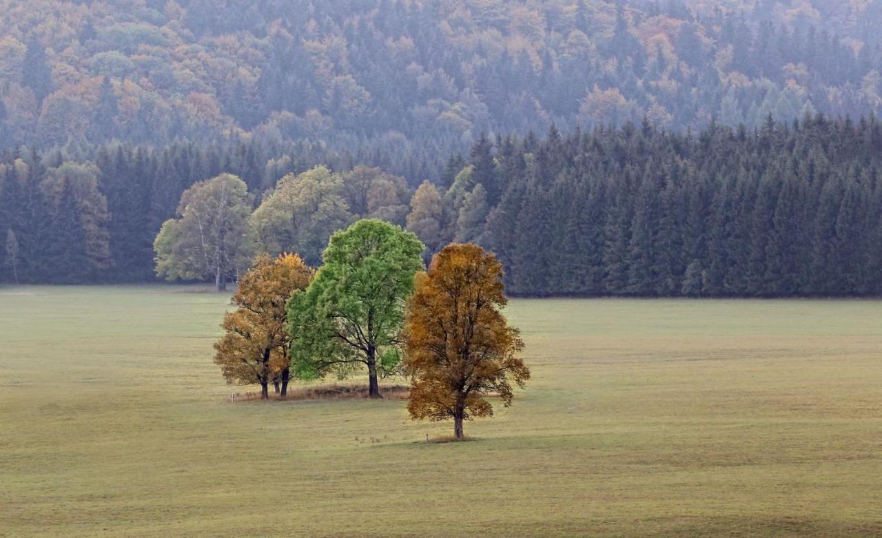 Przystanek Lasowka Kültér fotó
